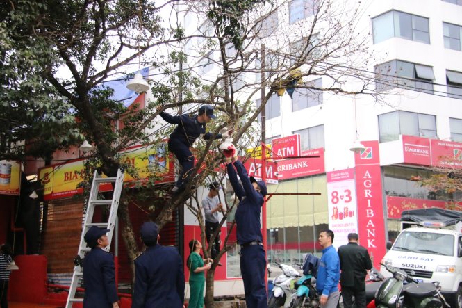 Tháo dỡ dây điện của một quán bia trên đường Nguyễn Chí Thanh - Ảnh: Danh Trọng