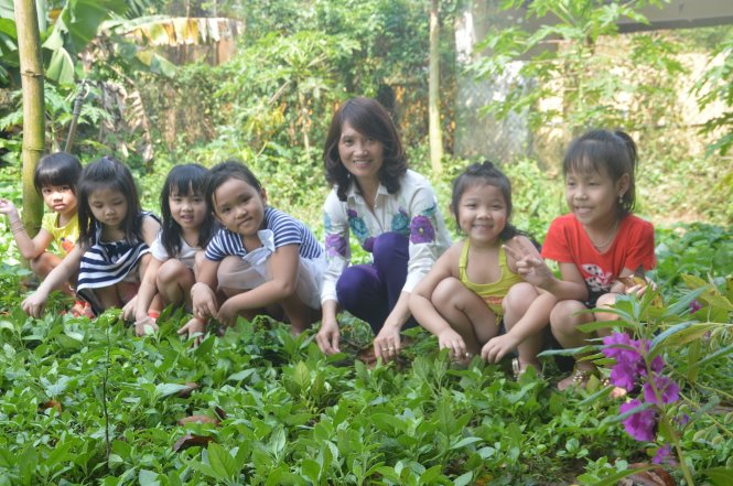 Vườn rau sạch tại Trường mầm non Cẩm Thanh do giáo viên và các bé tự gieo giống - Ảnh: Thanh Ba