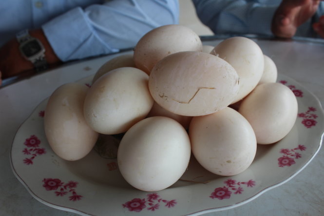 Trứng vịt ghép đôi loại trứng giống như loại trứng mà ông Huệ đã trộm - Ảnh: Hoài Thương