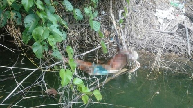 Thi thể người được người dân phát hiện ở  lòng hồ thủy điện Sông Bung trưa 16-3 - Ảnh: CTV