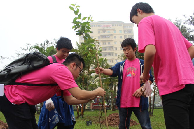 Các tình nguyện viên đến từ Nhật Bản và Việt Nam cùng tham gia trồng hoa anh đào - Ảnh: Chí Tuệ