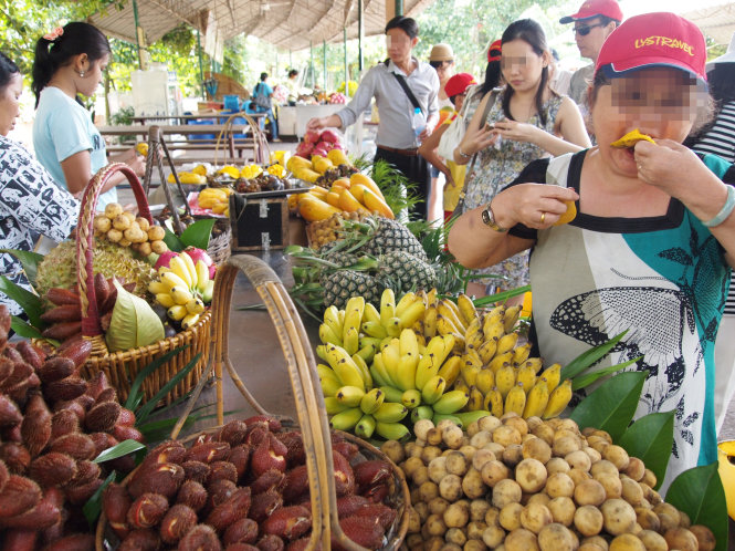 Khách du lịch VN tham quan và được ăn trái cây miễn phí tại vườn trái cây Suphattra Land ở tỉnh Rayong, Thái Lan - Ảnh: N.C.T.