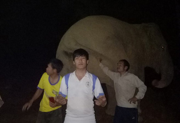 Các công nhân vô tư chụp ảnh gần con voi rừng - Ảnh: ĐÌNH BỔNG