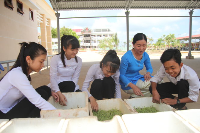 Cô trò Trường THPT Lương Thế Vinh (huyện Thạnh Phú, tỉnh Bến Tre) chăm sóc những thùng rau mầm - Ảnh: Mậu Trường
