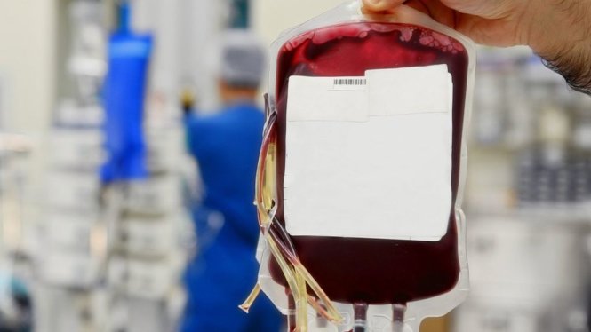 Mặc dù công nghệ mới hứa hẹn tiềm năng sản xuất được lượng máu nhân tạo quy mô lớn, nhưng do giá thành đắt nên trước hết sẽ được ưu tiên áp dụng với các nhóm máu hiếm - Ảnh: Reuters
