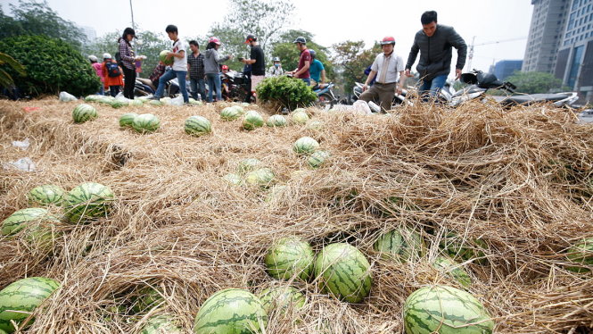 Theo thông tin ban đầu, số dưa bán được tới trưa 3-4 là khoảng 20 tấn - Ảnh: NAM TRẦN