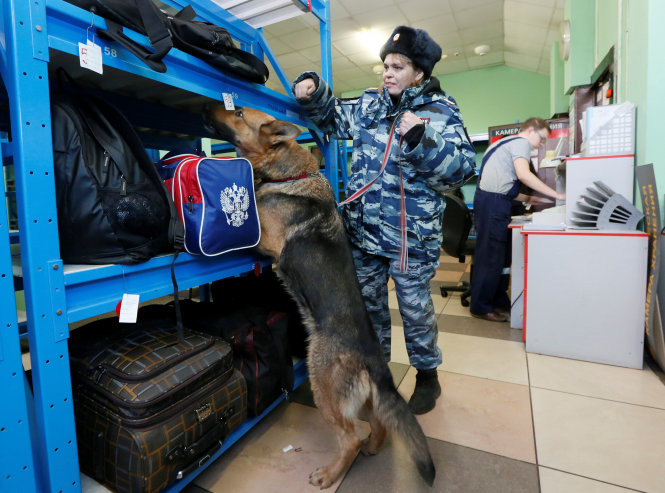 Chó nghiệp vụ kiểm tra hành lý ở một ga tàu ở St. Petersburg ngày 4-4 - Ảnh: Reuters