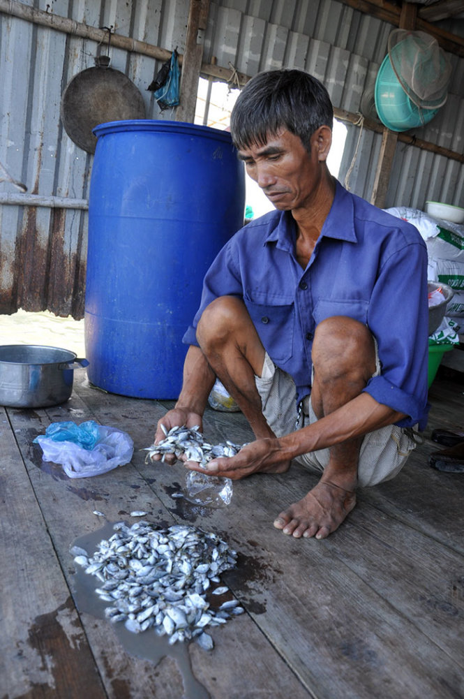 Ông Trương Văn Lợi bên đống cá chim nhỏ hơn 1000 con bị chết vào chiều 6-4 - Ảnh: ĐÔNG HÀ