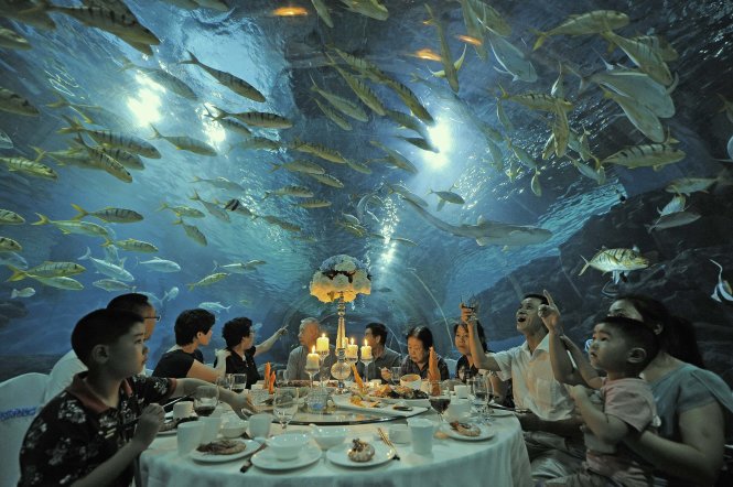 Du khách ăn tối và ngắm cá bơi lội tại công viên Thế giới đại dương ở Thiên Tân (Trung Quốc) - Ảnh: Reuters