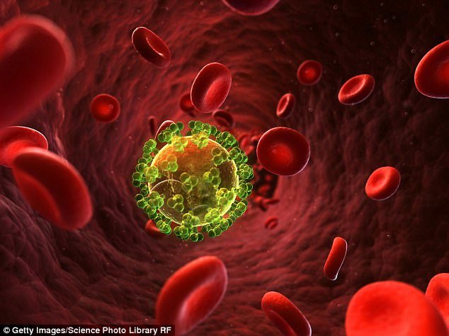 Các nhà khoa học đã tìm ra phương pháp mới để giúp tế bào kháng lại HIV - Ảnh: AFP