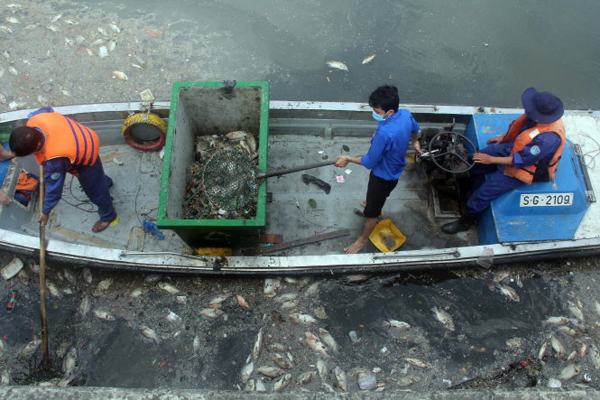 Công nhân vớt cá chết trên kênh Nhiêu Lộc - Thị Nghè vào đầu mùa mưa năm 2016 - Ảnh: Q.KHẢI