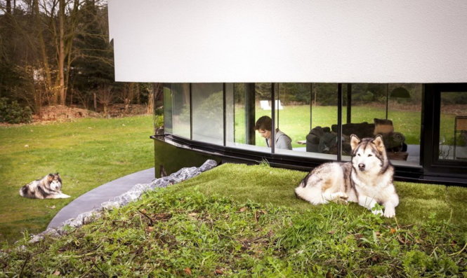 Cấu trúc quây tròn và cửa kính cho phép cặp đôi dễ dàng quan sát hai chú chó của mình - Ảnh: Inhabitat