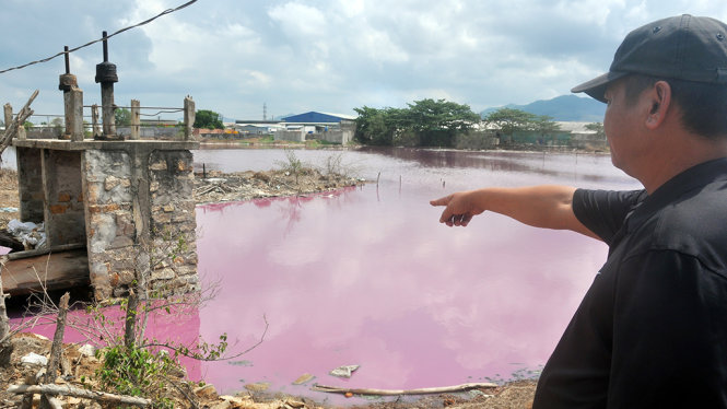 Đầm nước trước cống số 6- nơi chứa nước thải của các doanh nghiệp chế biến hải sản xã Tân Hải, huyện Tân Thành-là nguyên nhân làm cá bè trên sông Chà Và chết trong nhiều năm qua - Ảnh: Đông Hà