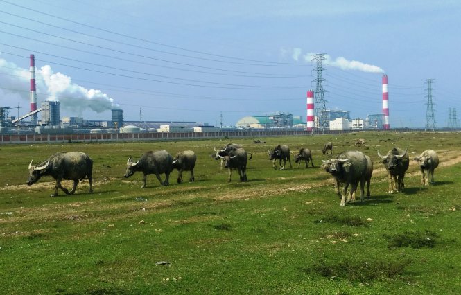 Cảnh bên ngoài Nhà máy Formosa (ảnh chụp ngày 18-4-2017) - Ảnh: Văn Định