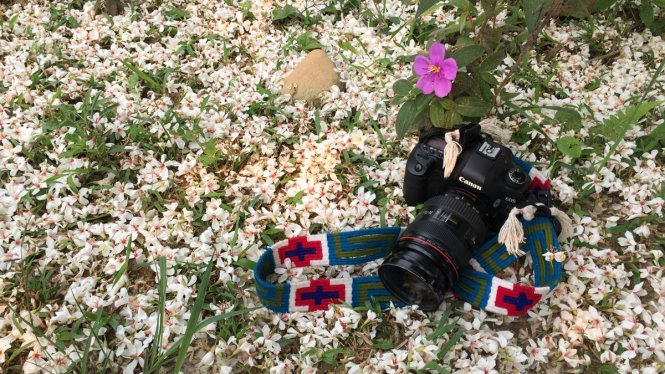 Vẻ đẹp hoa trẩu trên đường tuần tra biên giới - Ảnh: Thủy Trần
