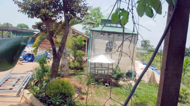 Nhà gỗ và chuồng nuôi chim công trong vườn rẫy của ông Nguyễn Quang Trường - Ảnh: B.D