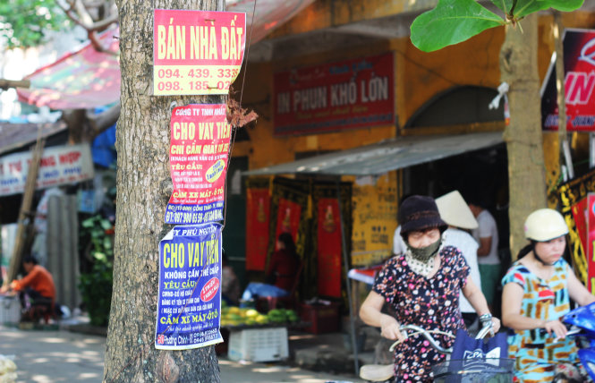 Các biển quảng cáo dán la liệt trên một thân cây ở TP Vinh, Nghệ An - Ảnh: Doãn Hòa