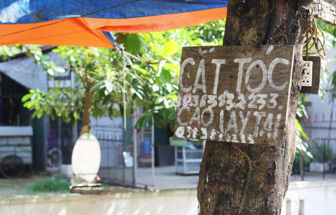 Một biển quảng cáo nhếch nhác trên thân cây ở TP Vinh, Nghệ An - Ảnh: Doãn Hòa