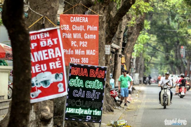 Các biển quảng cáo treo lủng lẳng trên thân cây tại phố Lý Nam Đế, Hà Nội - Ảnh: Nguyễn Khánh