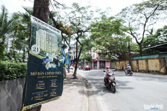 Một quảng cáo dự án bất động sản được treo trên thân cây trên đường Thuỵ Khuê, Hà Nội - Ảnh: Nguyễn Khánh