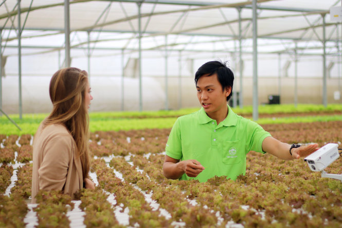 Kỹ sư Nguyễn Đức Máy giới thiệu vườn rau thủy canh được giám sát chu kỳ sinh trưởng bằng camera - Ảnh: Ngọc Hiển