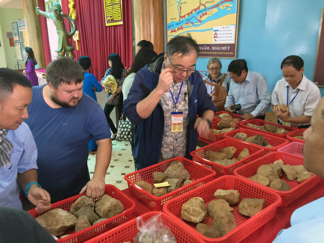 Các chuyên gia khảo cổ học quốc tế bàn luận về những hiện vật khai quật được từ các di tích sơ kỳ đá cũ ở An Khê - Ảnh: Thái Lộc