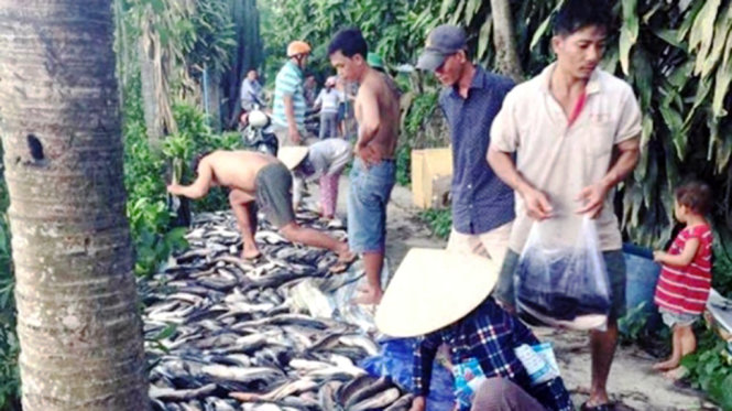 Hàng xóm mua cá chết giúp gia đình anh Du - Ảnh do bạn đọc cung cấp.