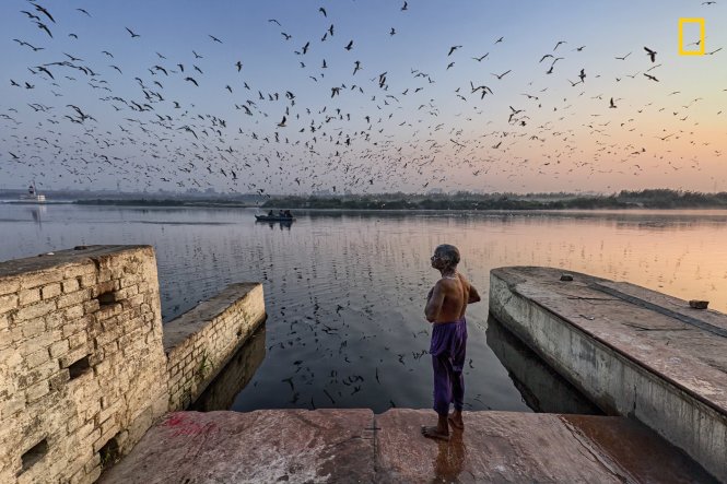 Một người đàn ông ở Delhi vừa tắm sông Yamuna vừa quan sát bầy mòng biển. Yamuna là một trong những con sông thiêng liêng nhất ở Ấn Độ, nhưng cũng là một trong những khu vực bị ô nhiễm nặng nhất.