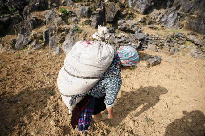 Một người phụ nữ Mông cõng bao phân lên thửa ruộng khô cằn chờ trời mưa để tra ngô tại thôn Sà Lủng A, xã Phố Cáo- Ảnh: NAM TRẦN