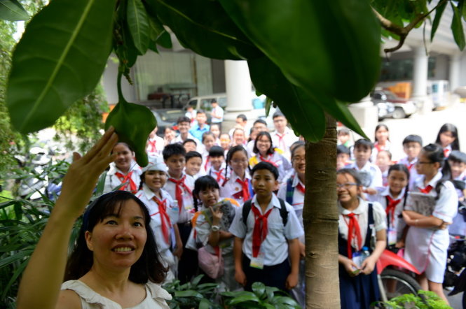 Chị Minh Thùy chỉ dẫn cho các đại biểu cháu ngoan bác Hồ về cây Bàng quả vuông ở Trường Sa được trồng tại báo Tuổi Trẻ - Ảnh: Hữu Khoa