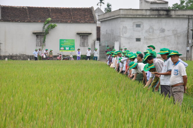 Hoạt động tham quan mô hình sử dụng phân bón Phú Mỹ đúng cách trên ruộng lúa tại các tỉnh Đồng bằng sông Cửu Long thu hút bà con tham gia. Ảnh CTV