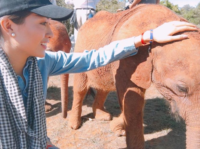 Lệ Hằng bất ngờ vì lần đầu biết đến trại voi mồ côi ở Kenya - Ảnh: NVCC