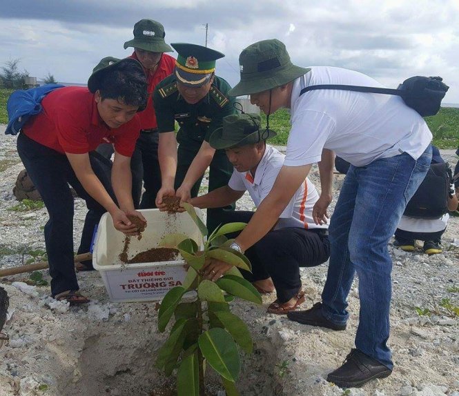 Những cây con được đoàn công tác báo Tuổi Trẻ trồng trên đảo Phan Vinh, rồi đây cây xanh sẽ tỏa bóng tốt tươi trên hòn đảo tiền tiêu này - Ảnh: Minh Luận