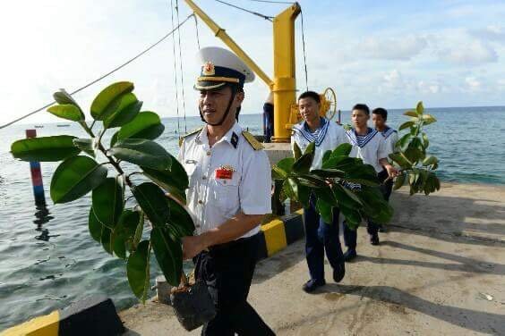 Các chiến sĩ đảo Phan Vinh mang vào đảo những cây con do đoàn công tác của Quân chủng hải quân, báo Tuổi Trẻ và Bệnh viện Quân y 175 đưa từ đất liền ra - Ảnh: Hữu Khoa