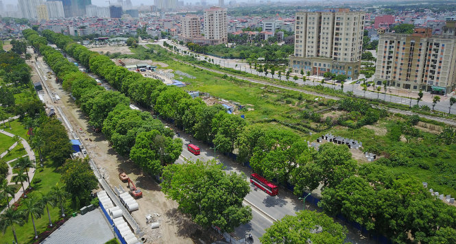 Khoảng 1.300 cây xanh trong kế hoạch chặt hạ, di chuyển nằm hai bên đường Phạm Văn Đồng từ chân cầu Mai Dịch đến cầu Thăng Long- Ảnh: P.Hùng