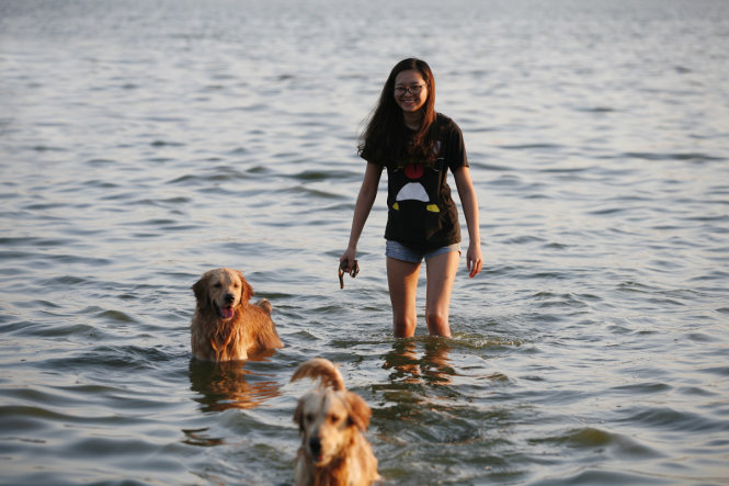Một bạn trẻ nô đùa với hai chú chó dưới nước
