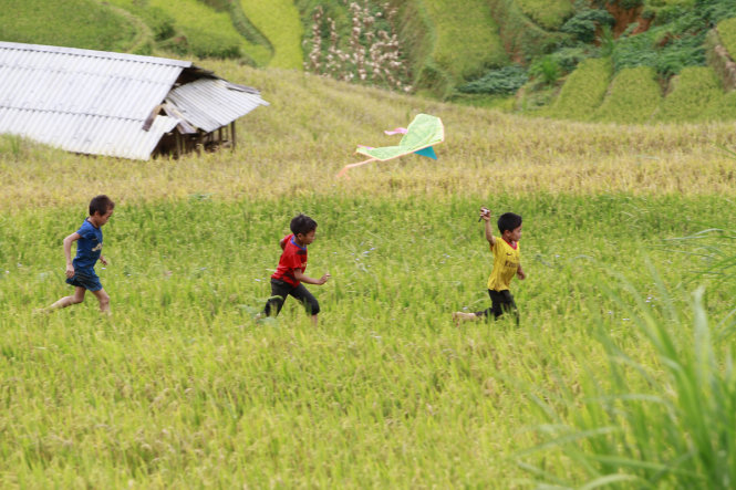 Trẻ em nông thôn chơi thả diều trên cánh đồng - ẢNH: Nam Trần