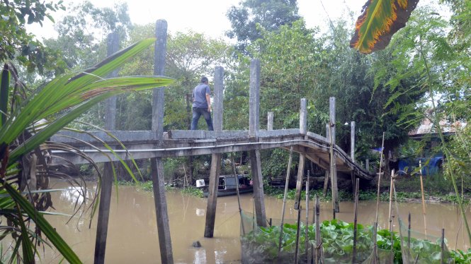 Cây cầu của gia đình bà Huê bắc ngang sông thấp hơn 0,5m so với những cây khác - Ảnh Ngọc Tài