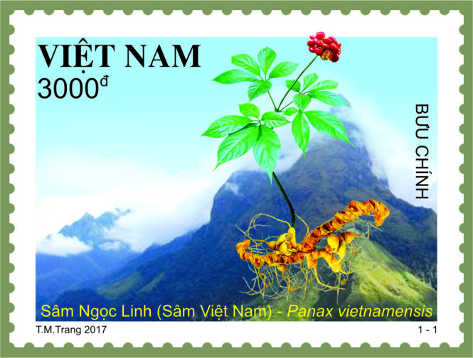 Mẫu tem sâm Ngọc Linh. Ảnh: Tổng công ty bưu điện Việt Nam