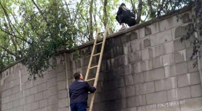 Du khách trèo tường để trốn vé vô sở thú ở Trung Quốc - Ảnh: Ifeng