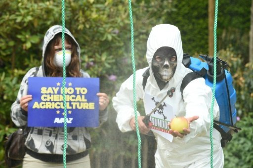 Những người biểu tình phản đối việc sử dụng hóa chất diệt cỏ glyphosate ở Brussels, Bỉ - Ảnh: AFP