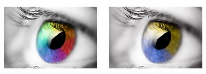 Mắt thường và mắt 'mù màu' xanh lá cây (Deuteranomaly), dạng mù màu phổ biến nhất - ảnh: colourblindawareness.org