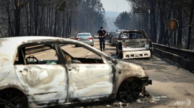 Cháy rừng lớn ở Bồ Đào Nha khiến ít nhất 60 người thiệt mạng - Ảnh: AFP