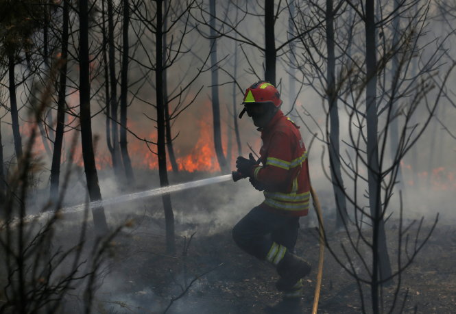 Lính cứu hỏa đối diện với lửa cháy rừng vào ngày 19-6 - Ảnh: Reuters