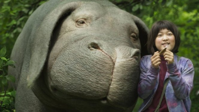 Mija và nàng lợn Okja trong phim - Ảnh: Netflix