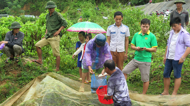 Người dân trong vùng đã hỗ trợ gia đình ông Diện bằng cách mua lại cá với giá 50.000-100.000 đồng/kg - Ảnh: TTXVN