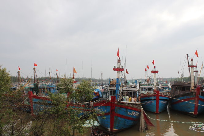 Tàu, thuyền của ngư dân TP Sầm Sơn tỉnh Thanh Hóa đang neo đậu tại âu tránh trú bão Lạch Hới, phường Quảng Tiến - Ảnh: HÀ ĐỒNG