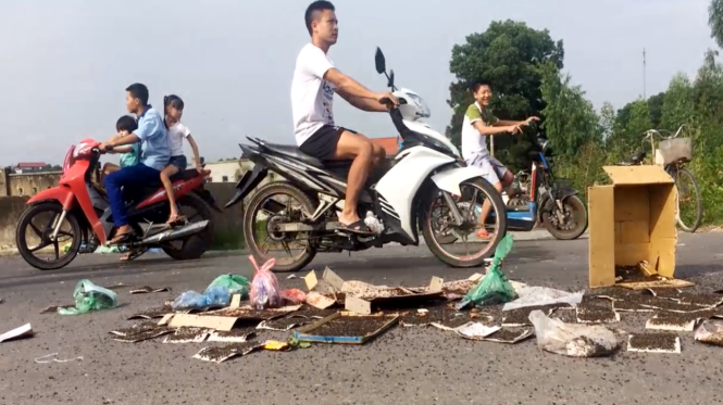 Hà Nội xử lý dứt điểm tình trạng dân mang ruồi chết chặn xe rác - Tuổi ...