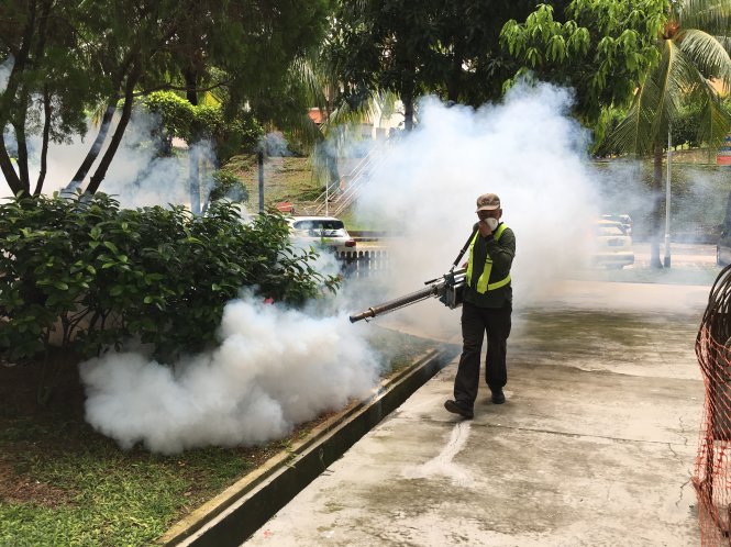 Phun thuốc diệt muỗi trong khu dân cư ở Telok Blangah - Ảnh: Lê Nam