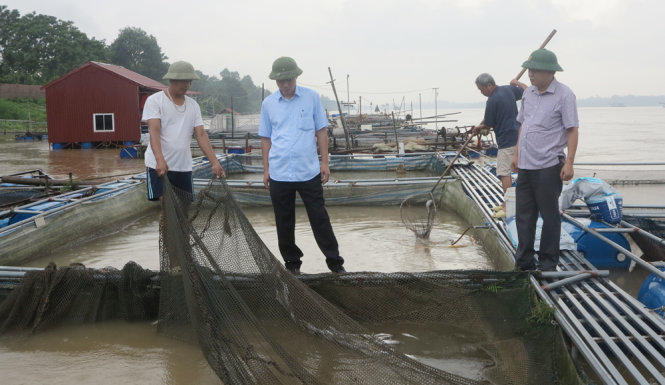 Cơ quan chức năng kiểm tra tình hình thiệt hại cá lồng - ẢNH: Quốc hội